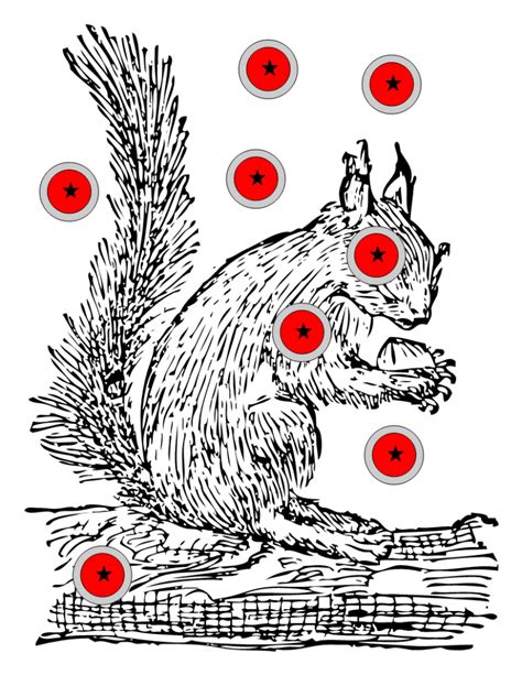 Squirrel Target Printable